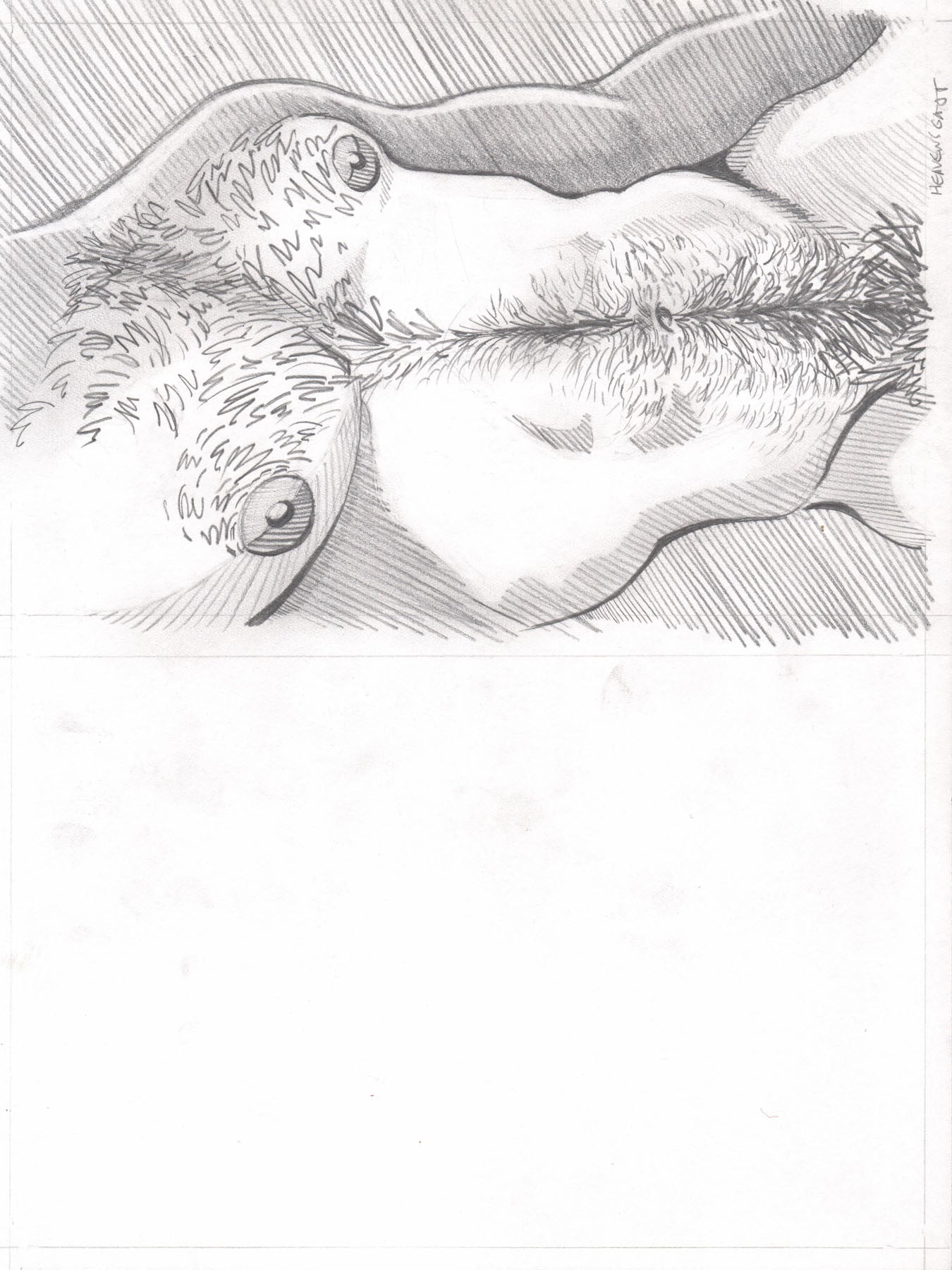 '23 Fuzzy Chest 2
